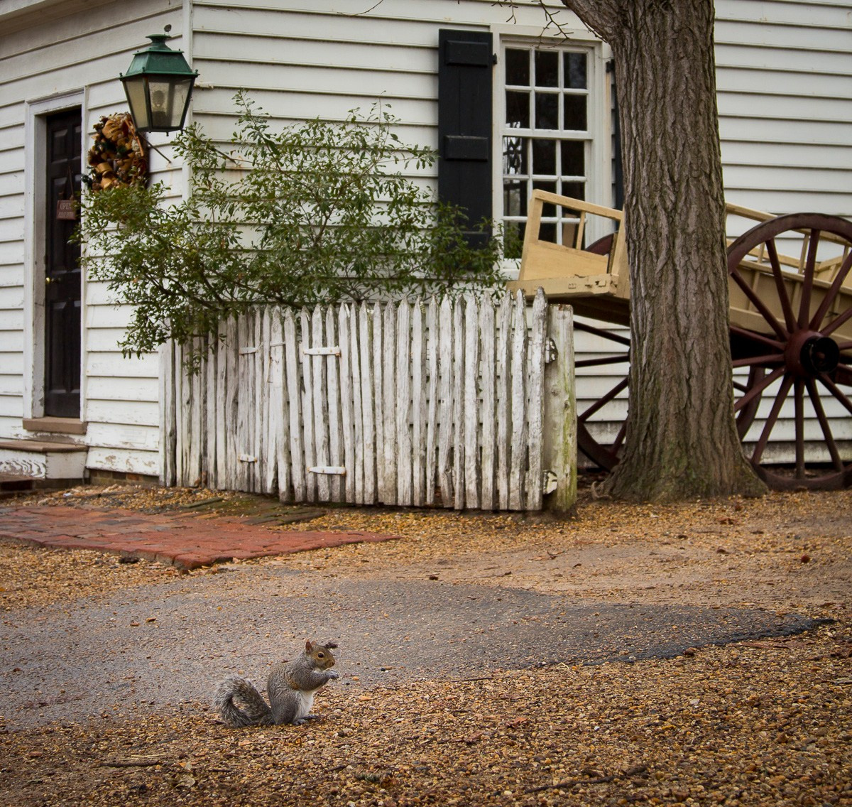 Колониальный Вильямсбург, США, 2015. Фотограф Василий Буланов