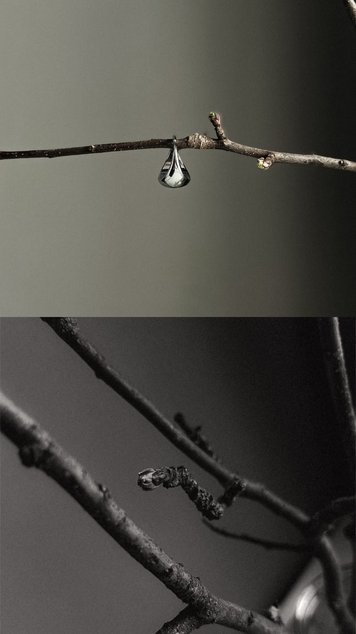 ПРЕДМЕТНАЯ. Nuga_visual