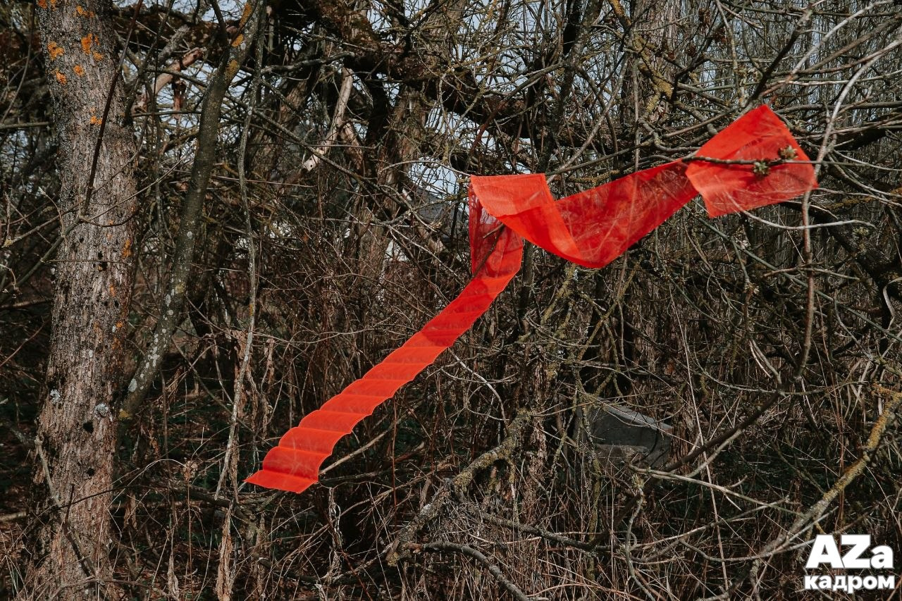 AZакадром «В поисках красного». Женский семейный фотограф Тула Москва Захарова Анна