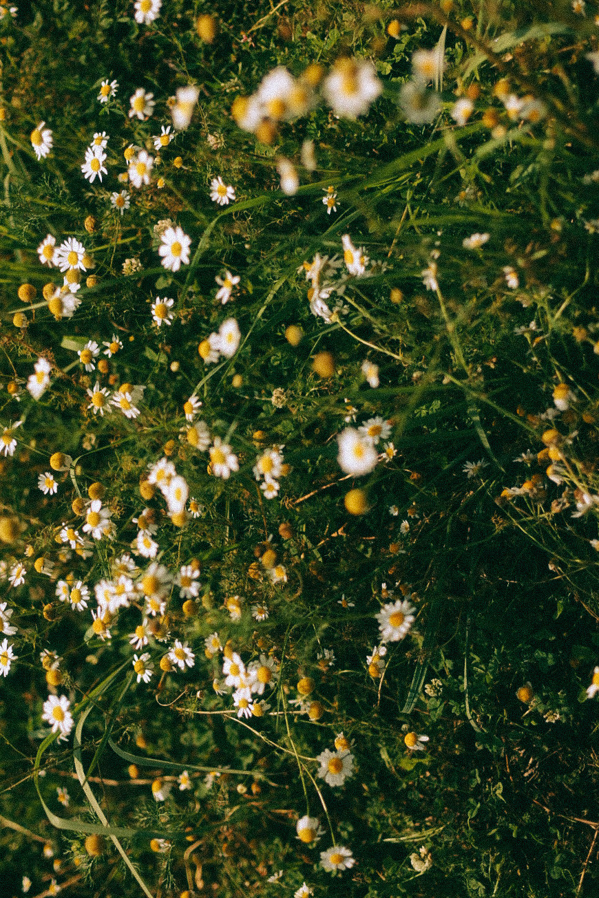 Костя и Наташа. Фотограф Нижний Новгород