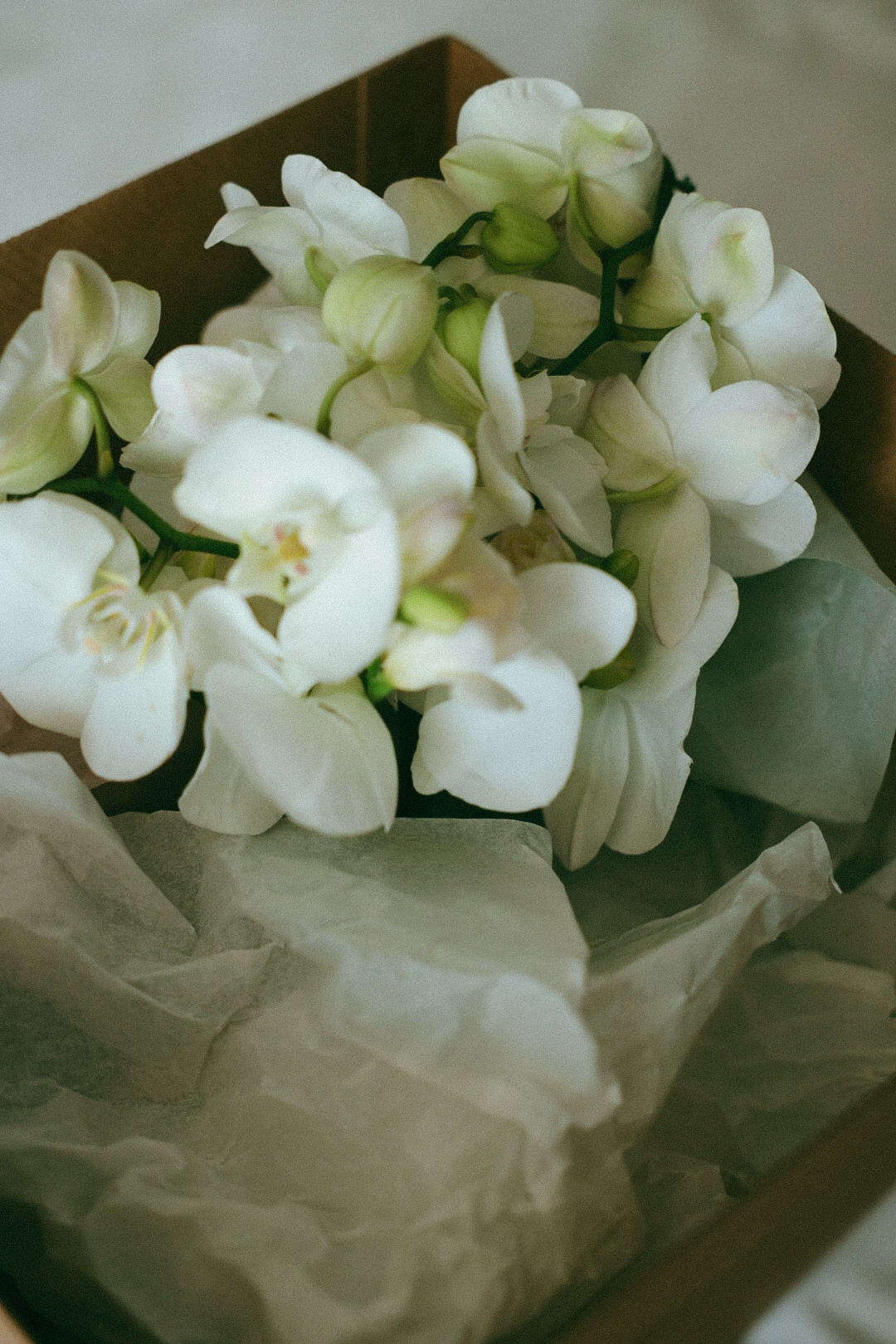 Юрий и Дарья. Фотограф Нижний Новгород