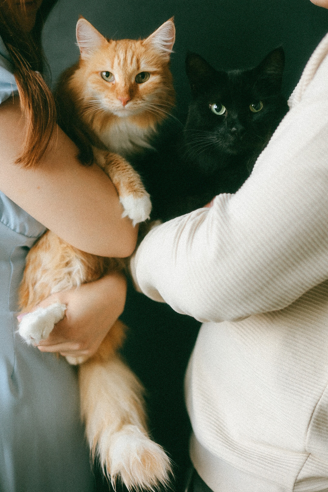 Тимур и Лиза. Фотограф Нижний Новгород