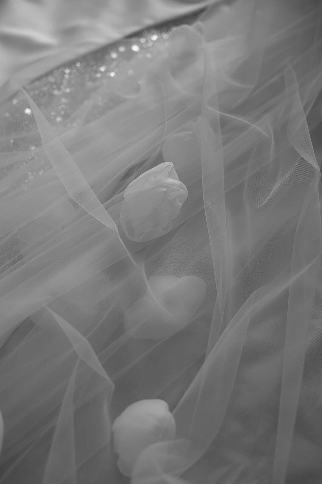 Михаил и Юлия. Фотограф Нижний Новгород