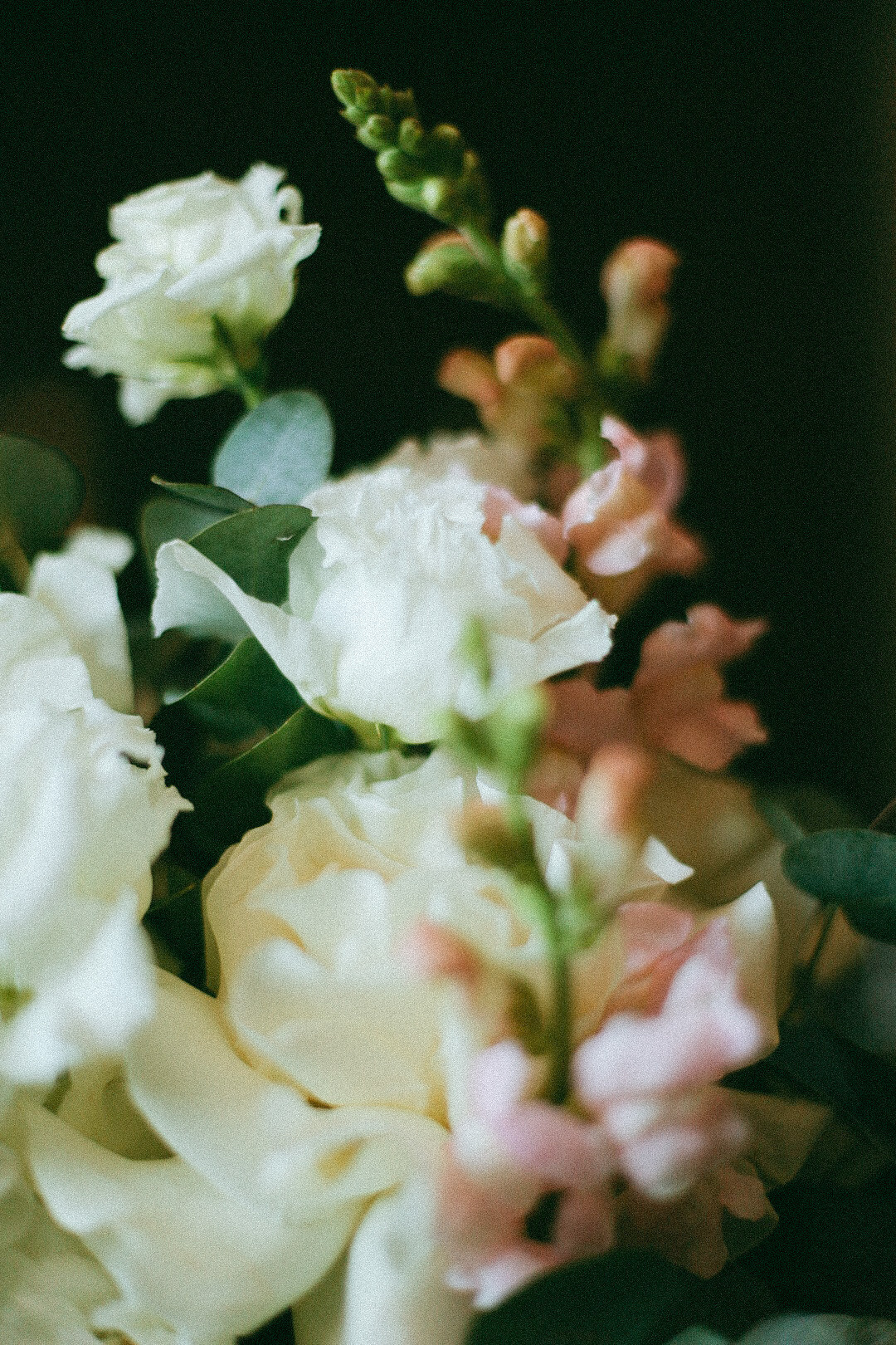 Артем и Руфина. Фотограф Нижний Новгород