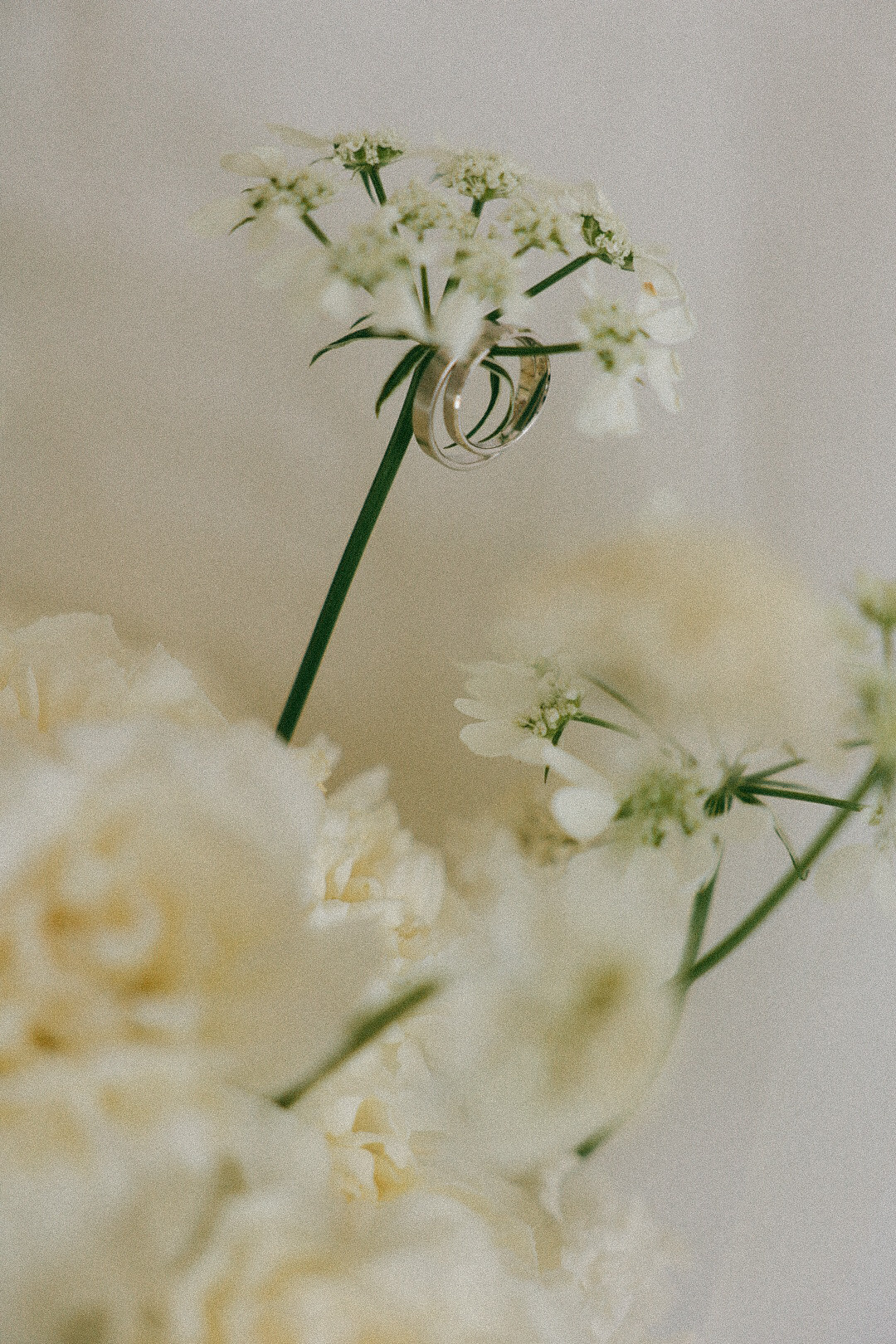 Дима и Ира. Фотограф Нижний Новгород