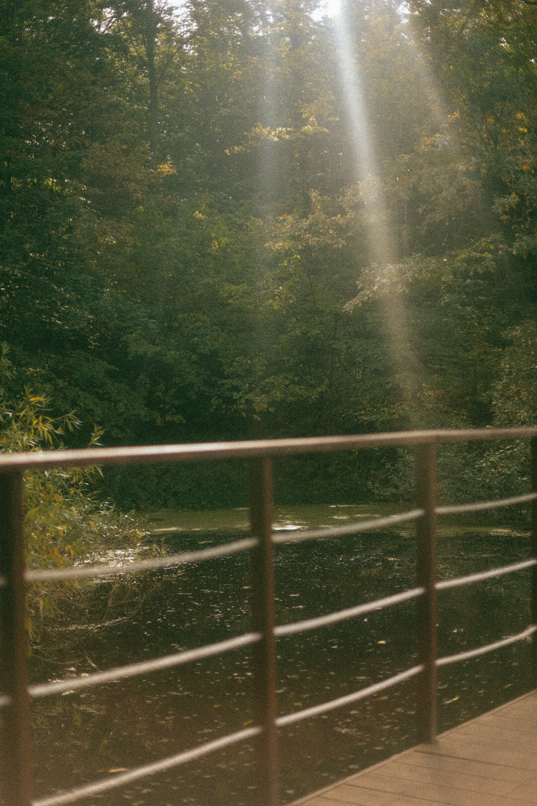 Family. Фотограф Нижний Новгород