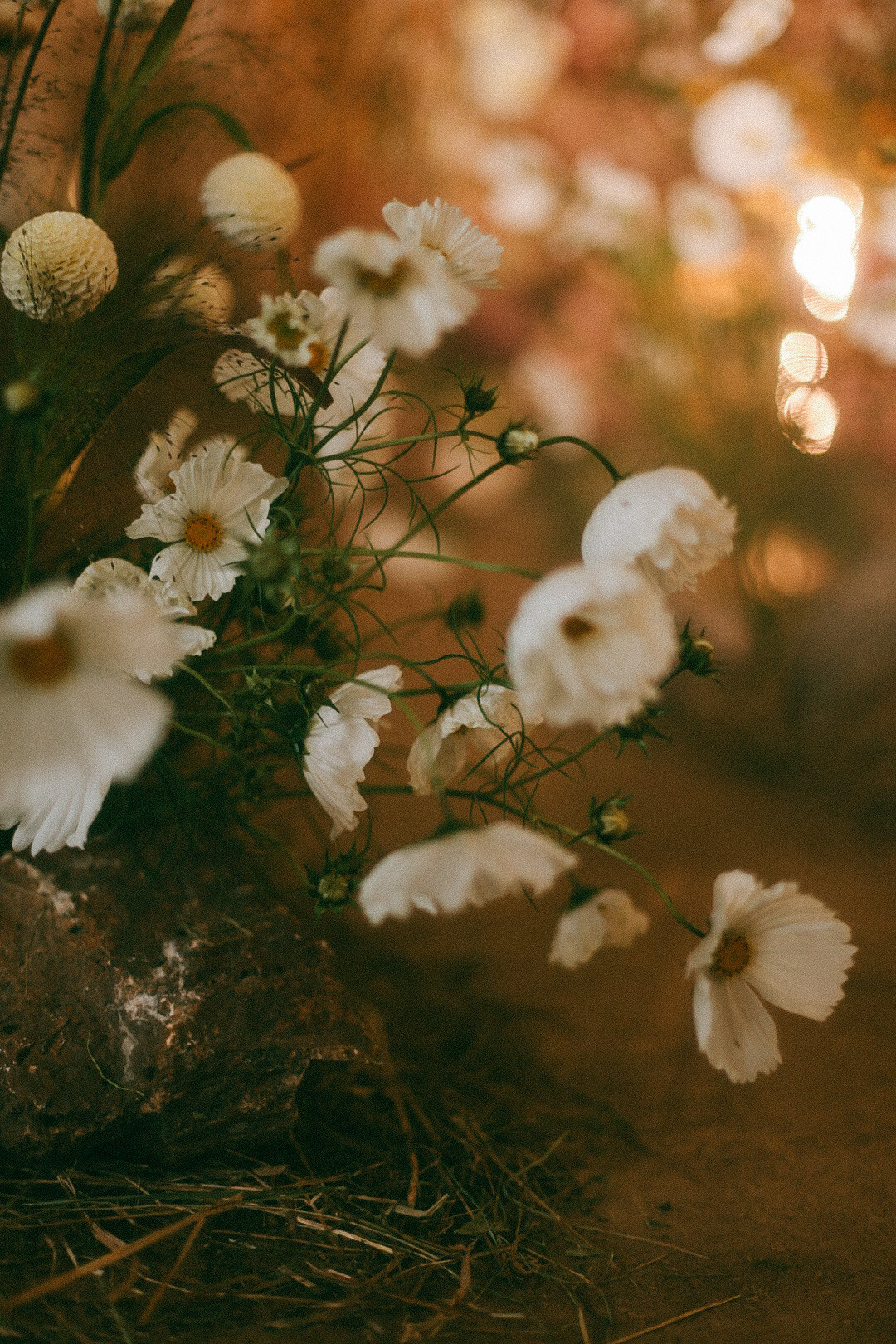 22. Фотограф Нижний Новгород