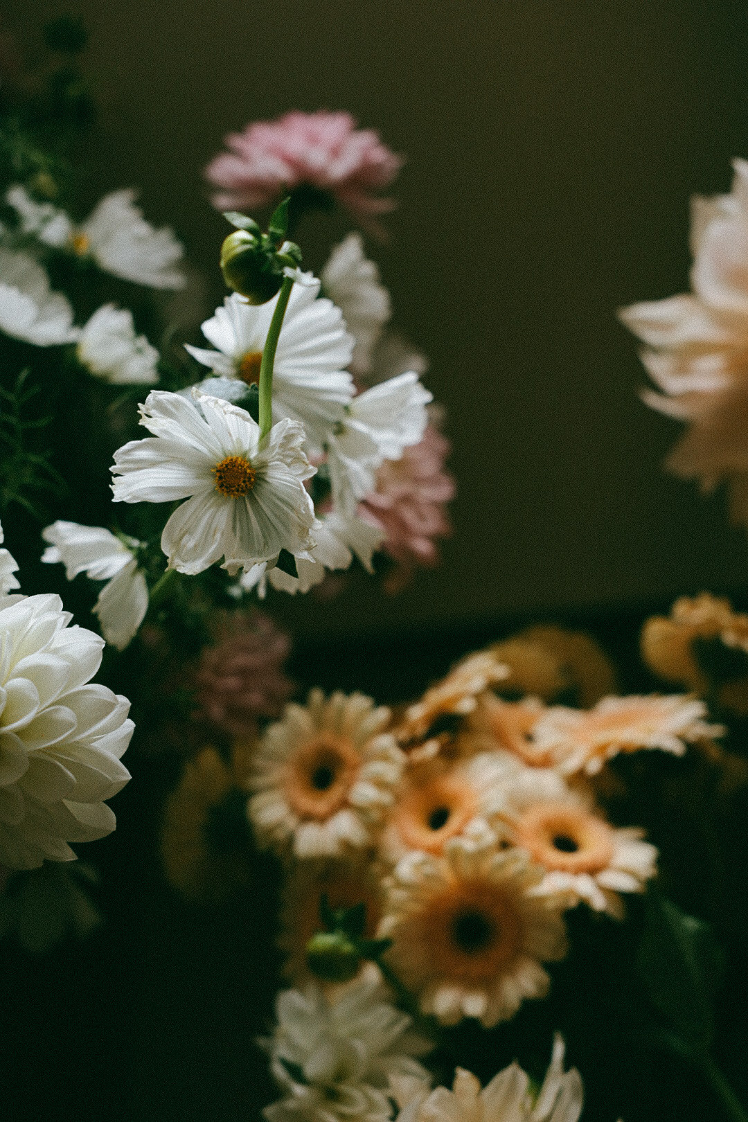 22. Фотограф Нижний Новгород