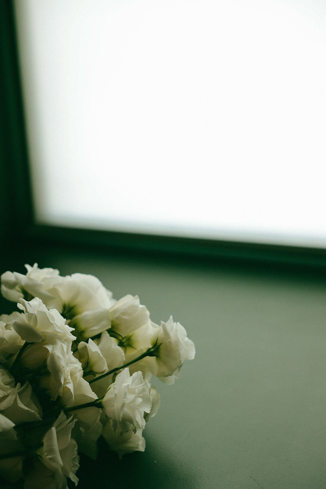 Михаил и Юлия. Фотограф Нижний Новгород