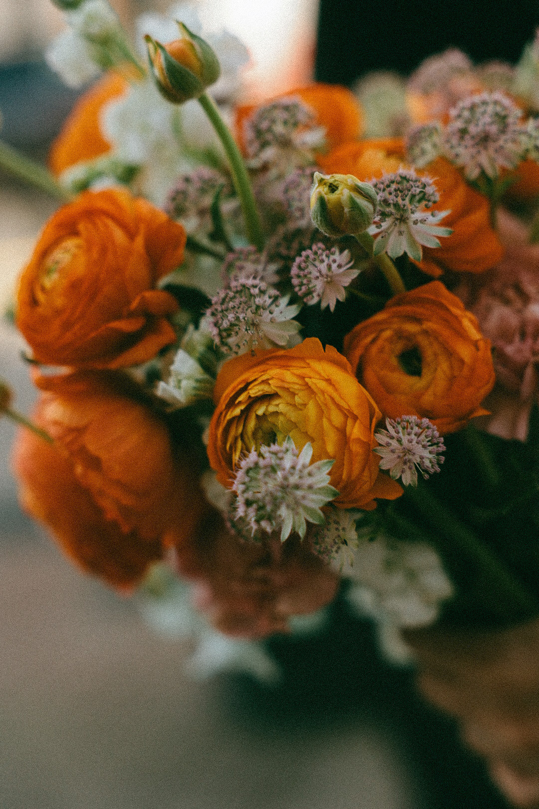 Сережа и Лиза. Фотограф Нижний Новгород