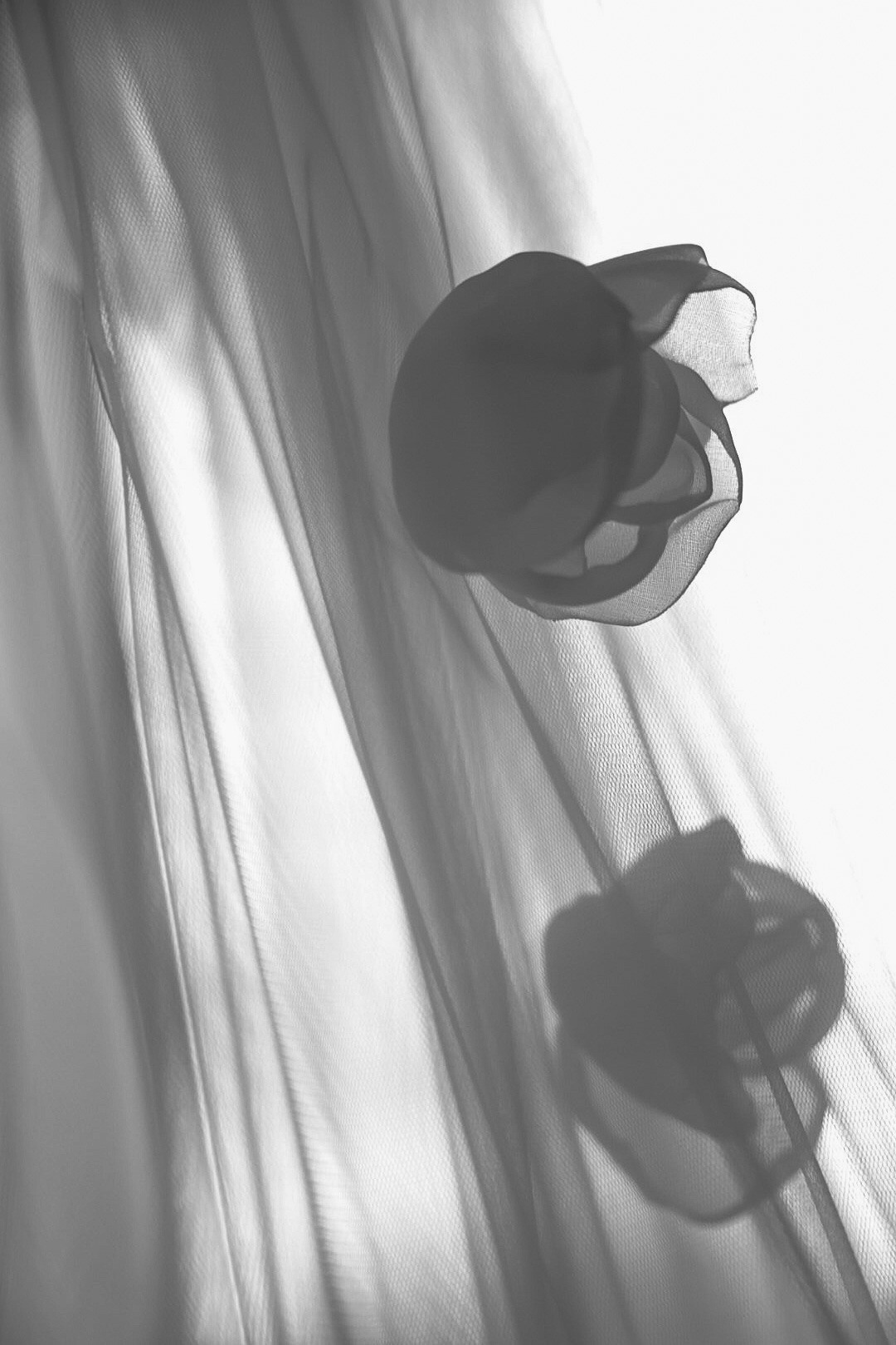 Михаил и Юлия. Фотограф Нижний Новгород