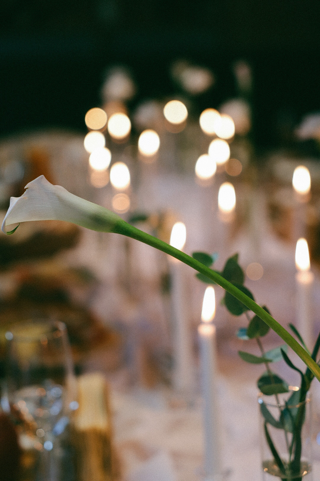 Юрий и Дарья. Фотограф Нижний Новгород