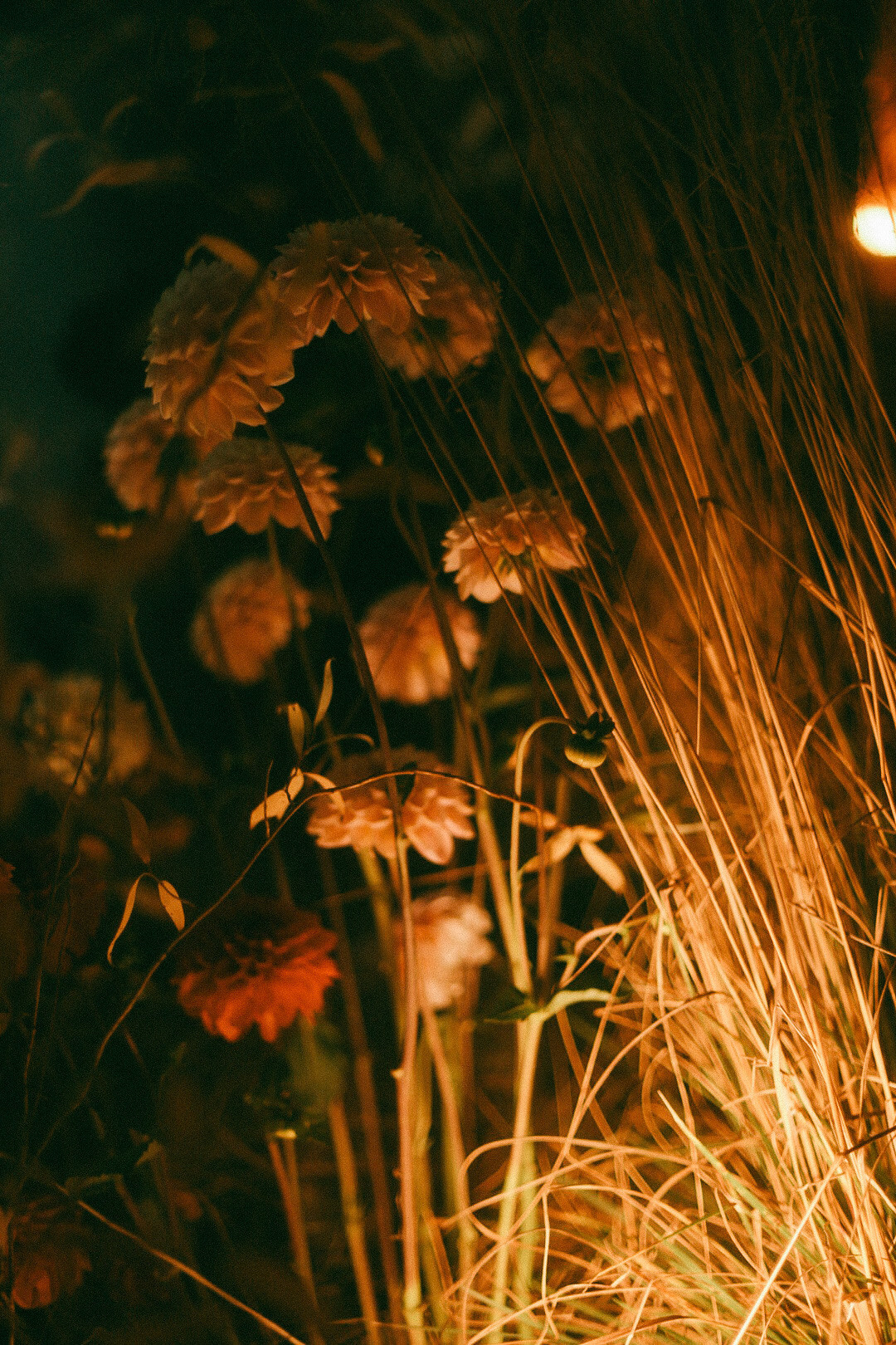 22. Фотограф Нижний Новгород