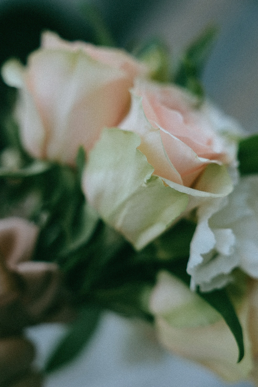 Роман и Диана. Фотограф Нижний Новгород