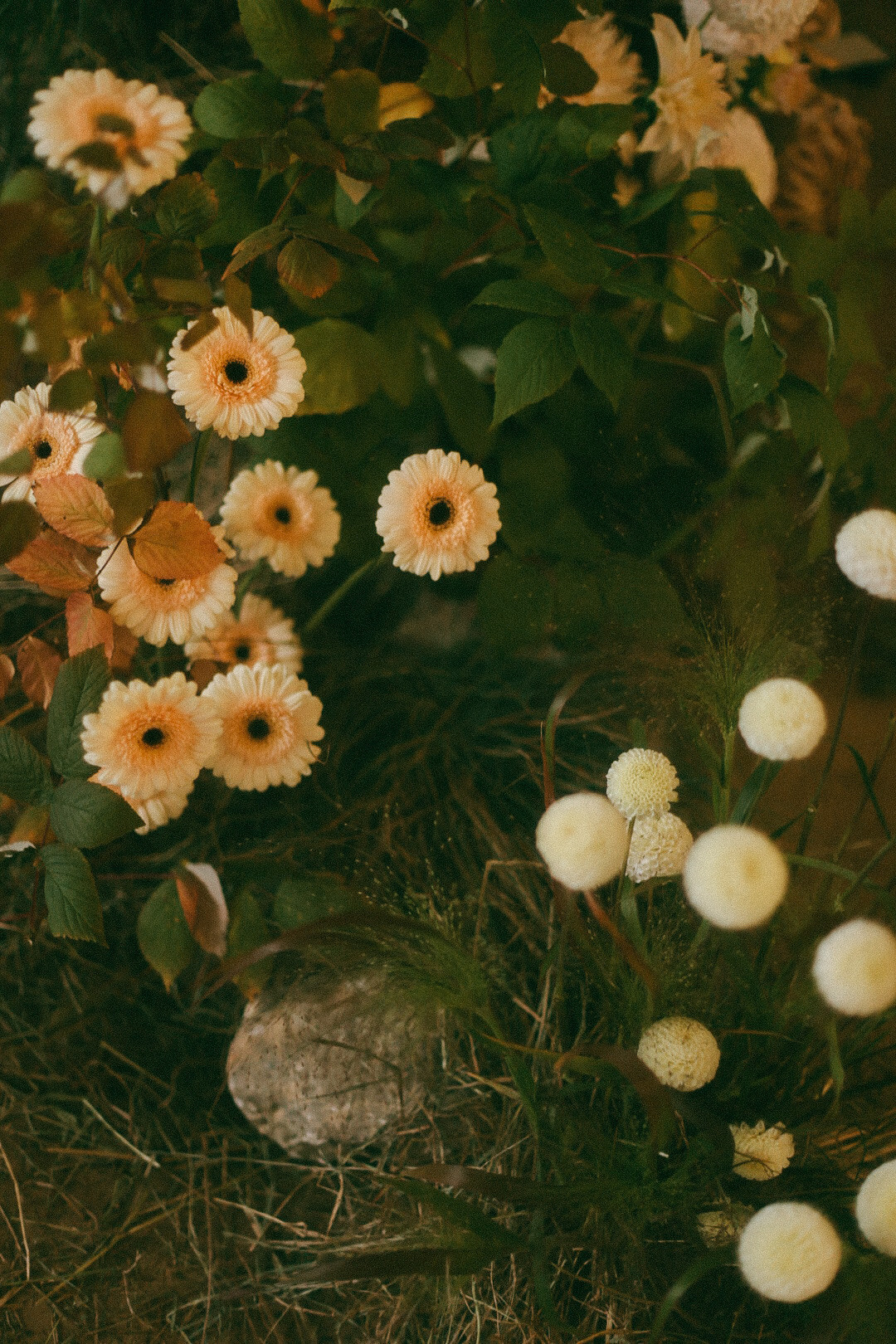 22. Фотограф Нижний Новгород