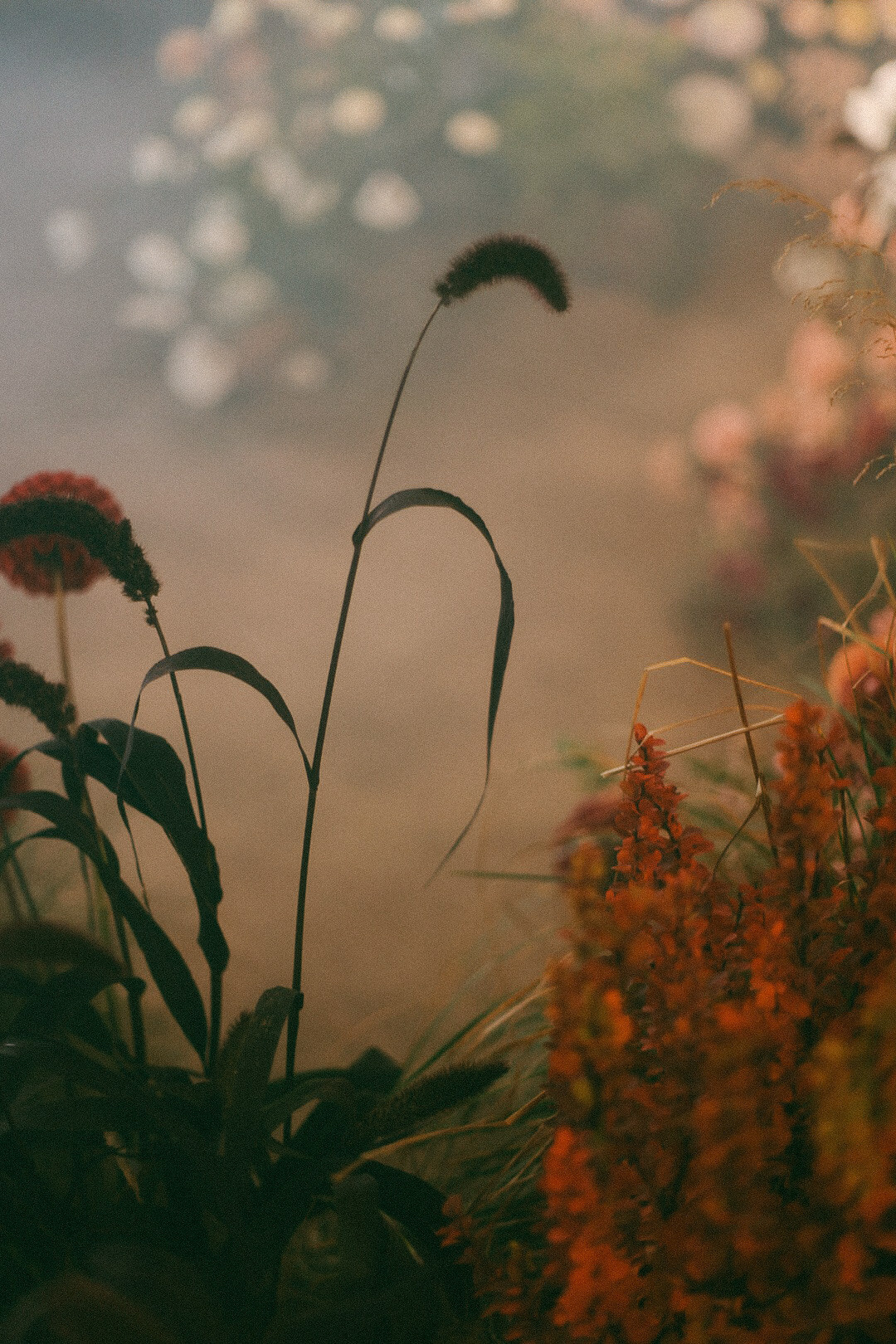 22. Фотограф Нижний Новгород