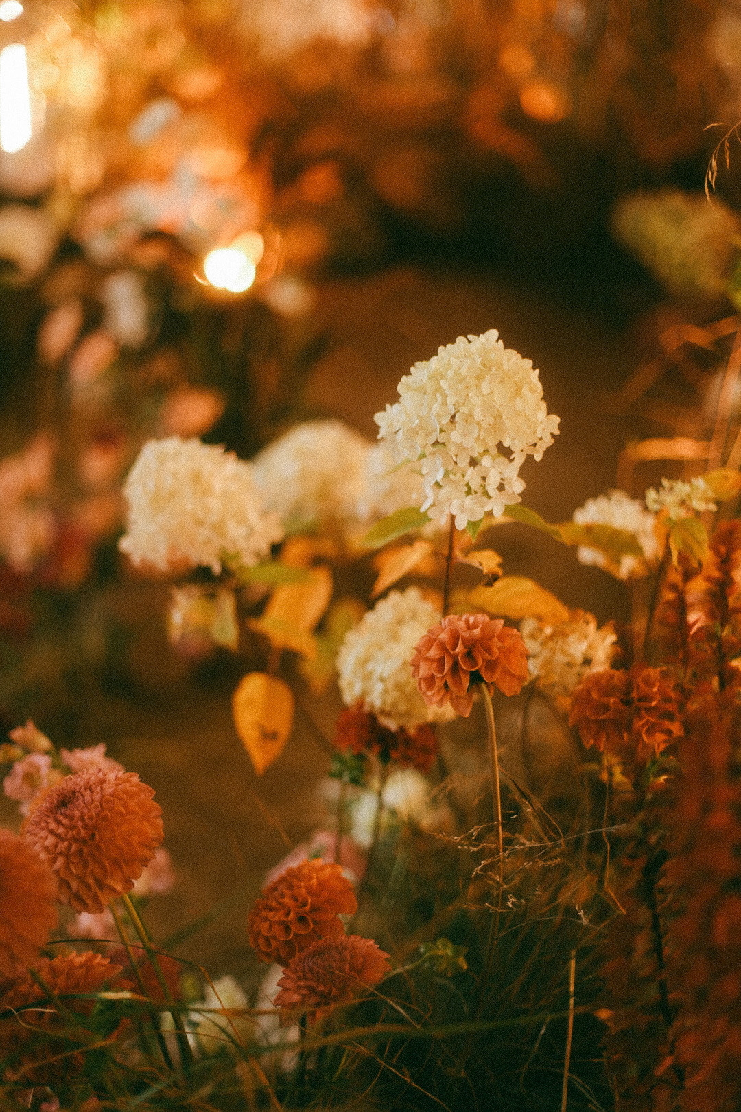 22. Фотограф Нижний Новгород