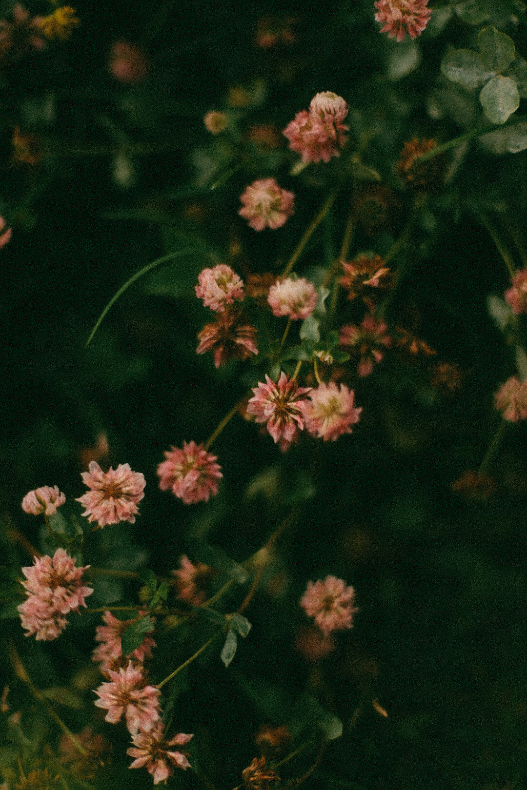 Марина. Фотограф Нижний Новгород