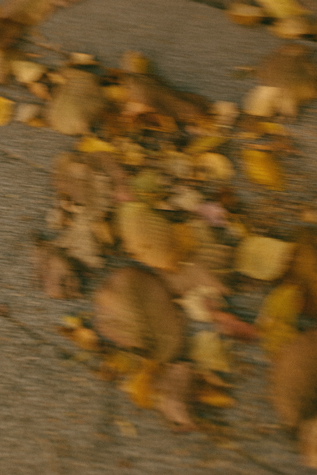 Ангелина. Фотограф Нижний Новгород