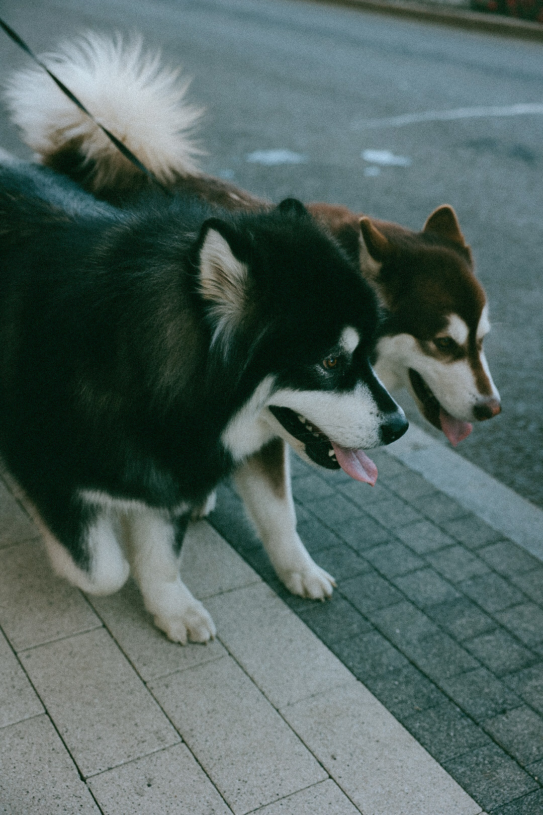 Family. Фотограф Нижний Новгород