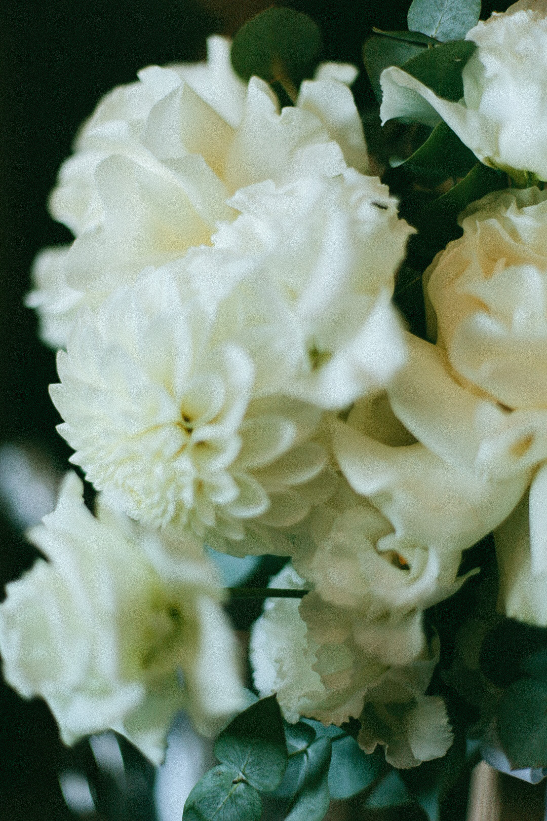 Артем и Руфина. Фотограф Нижний Новгород