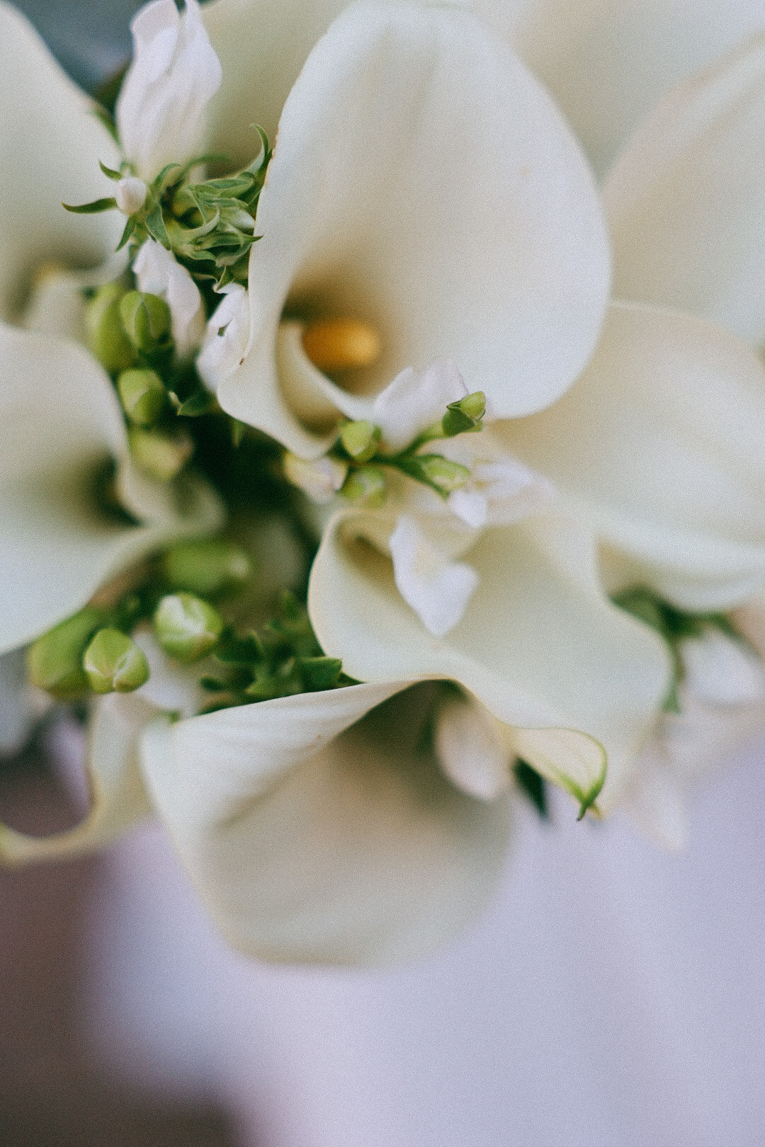 Даниил и Лиза. Фотограф Нижний Новгород