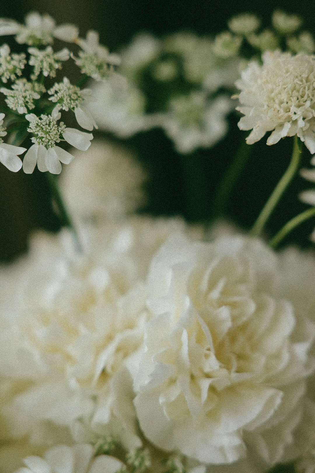 Дима и Ира. Фотограф Нижний Новгород