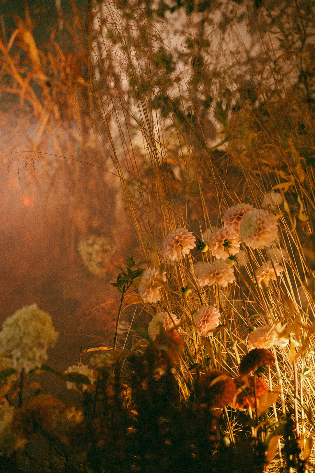 22. Фотограф Нижний Новгород