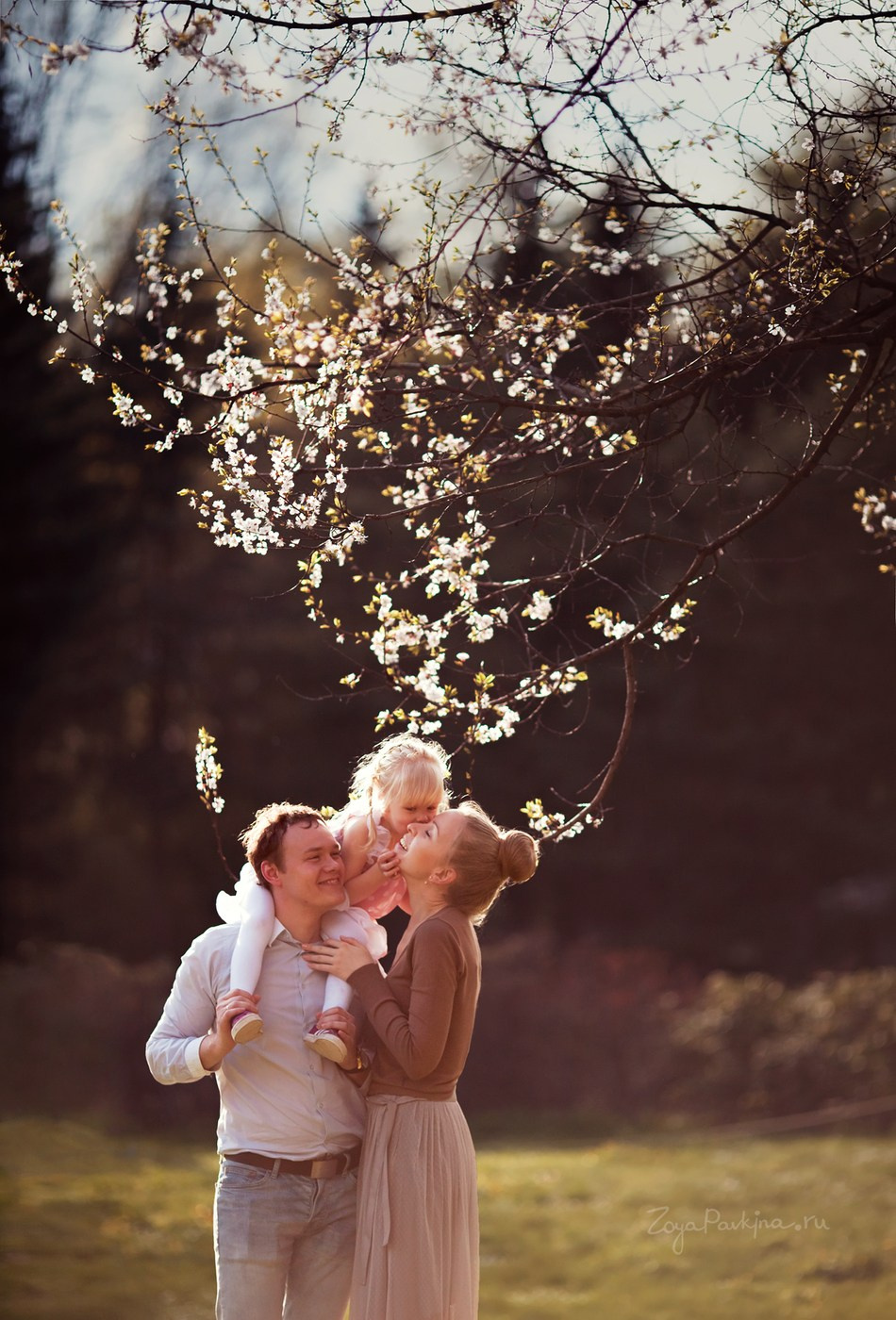 הנחות. צלם ואמן ילדים ומשפחה