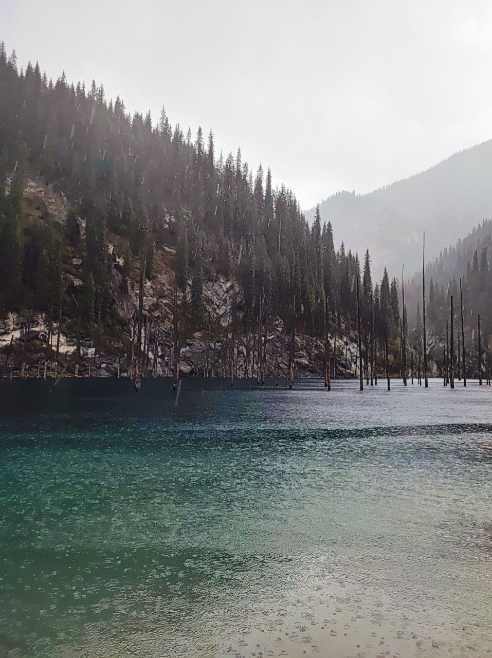 Намобилкус казахский. Репортажный фотограф Алексей Пирязев