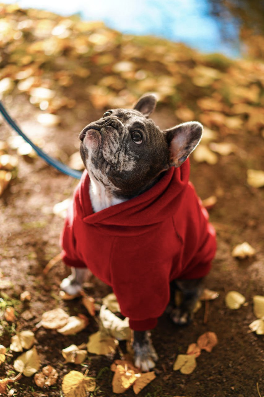 Другая съемка. Репортажный и портретный фотограф / видеограф (СПБ)