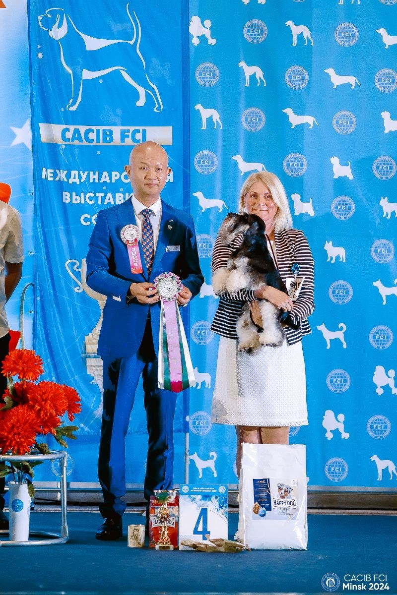 #цвергшнауцер #питомникцвергшнауцеровбеларусь #цвергивитебска #делинсобэлэнс #цвергшнауцерыбеларуси