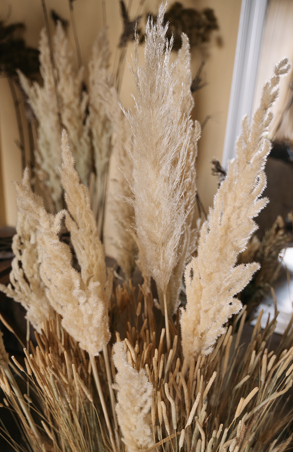 Ангелина. Свадебный фотограф — Наталья Фед СПб/Москва