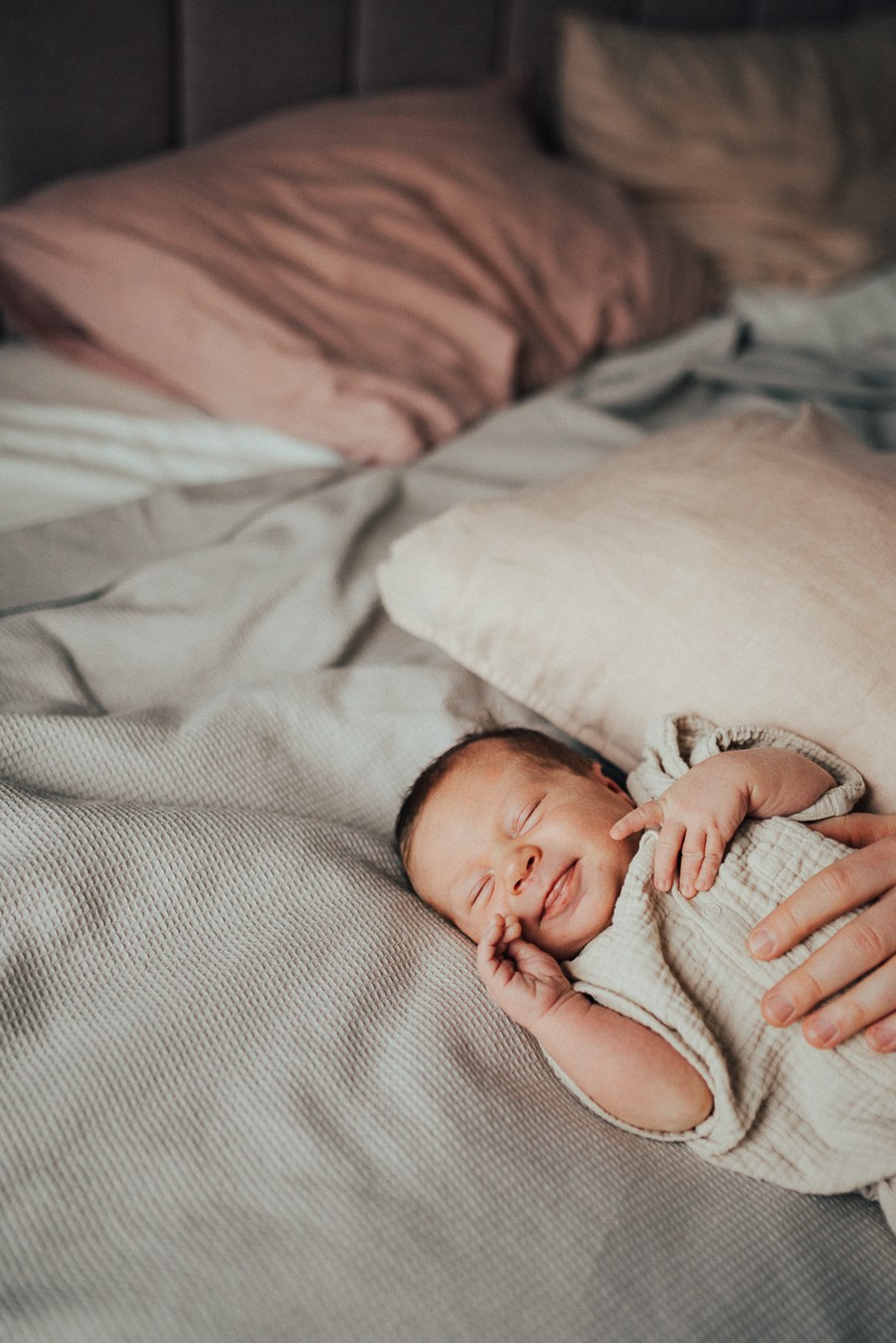 Здравствуй! | дома