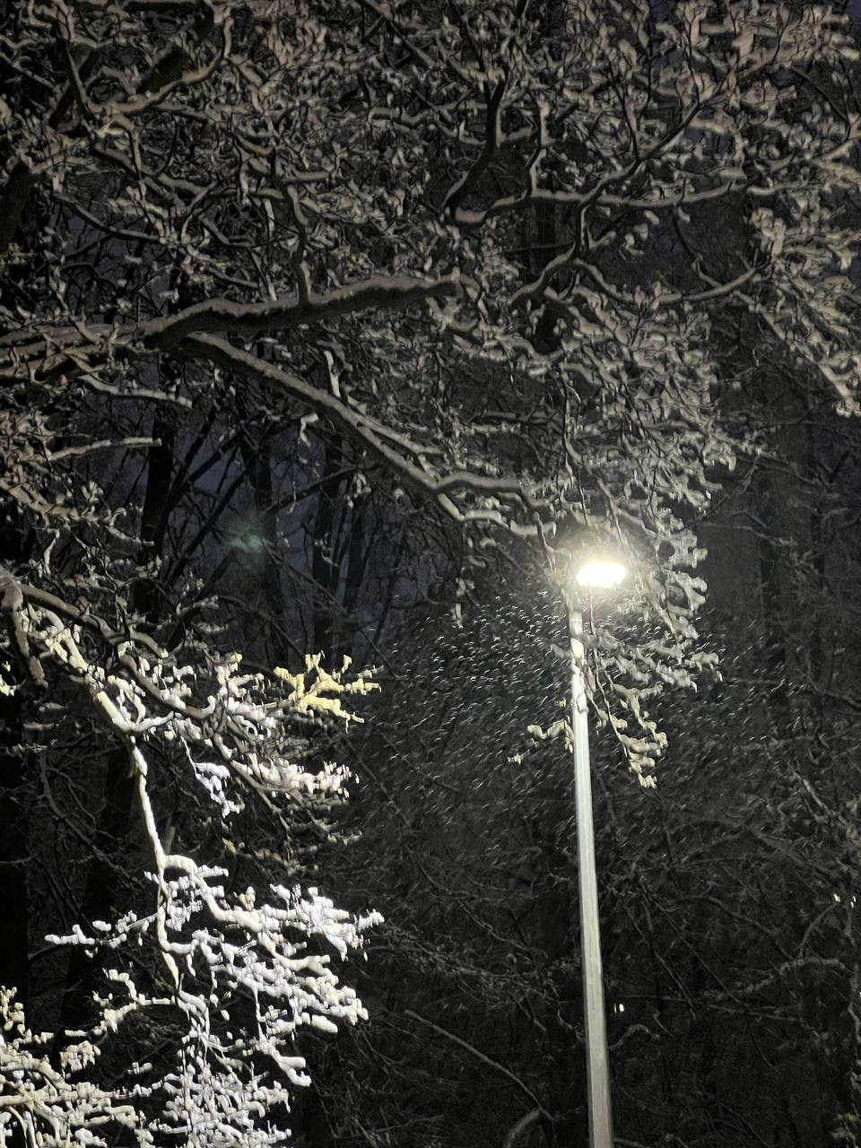 Декабрь. Семейный, Свадебный фотограф СПБ Питер— Романова Екатерина