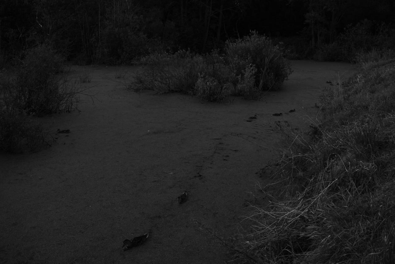 Sedimentation. Пылина Ирина — современная фотография