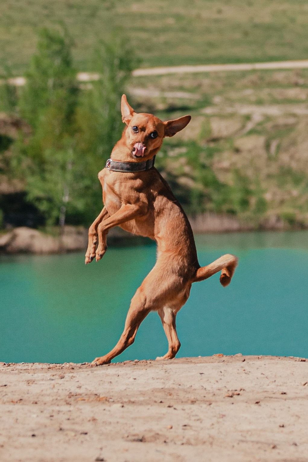 Кондуки. Фотограф-анималист Татьяна Степанова