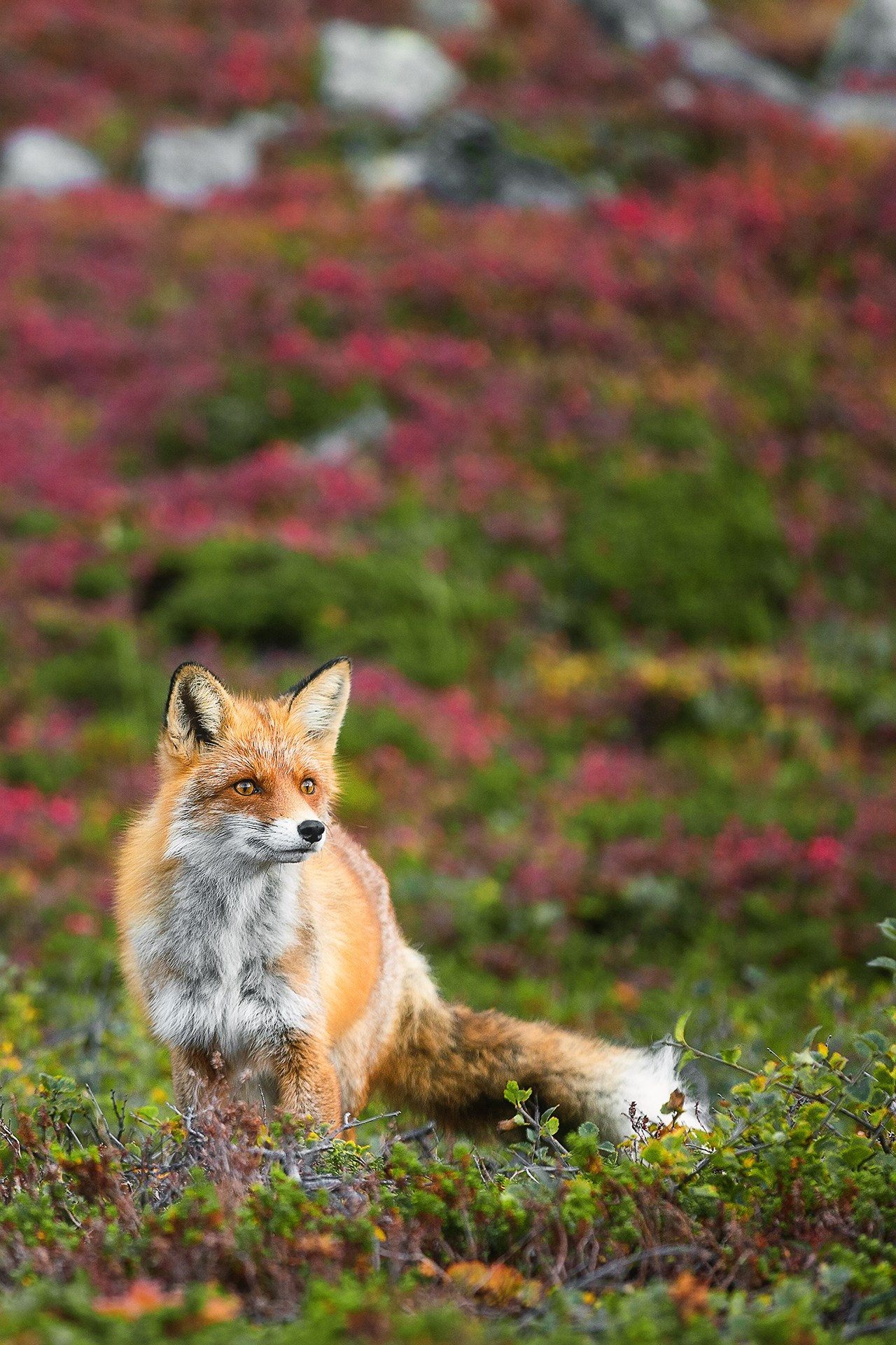 П-ов РЫБАЧИЙ. Фототуры и обучение пейзажной фотографии