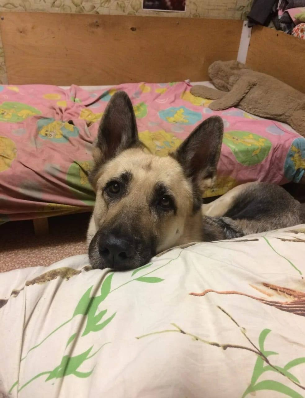 Графический дизайн. Силантьева Наталья фотограф