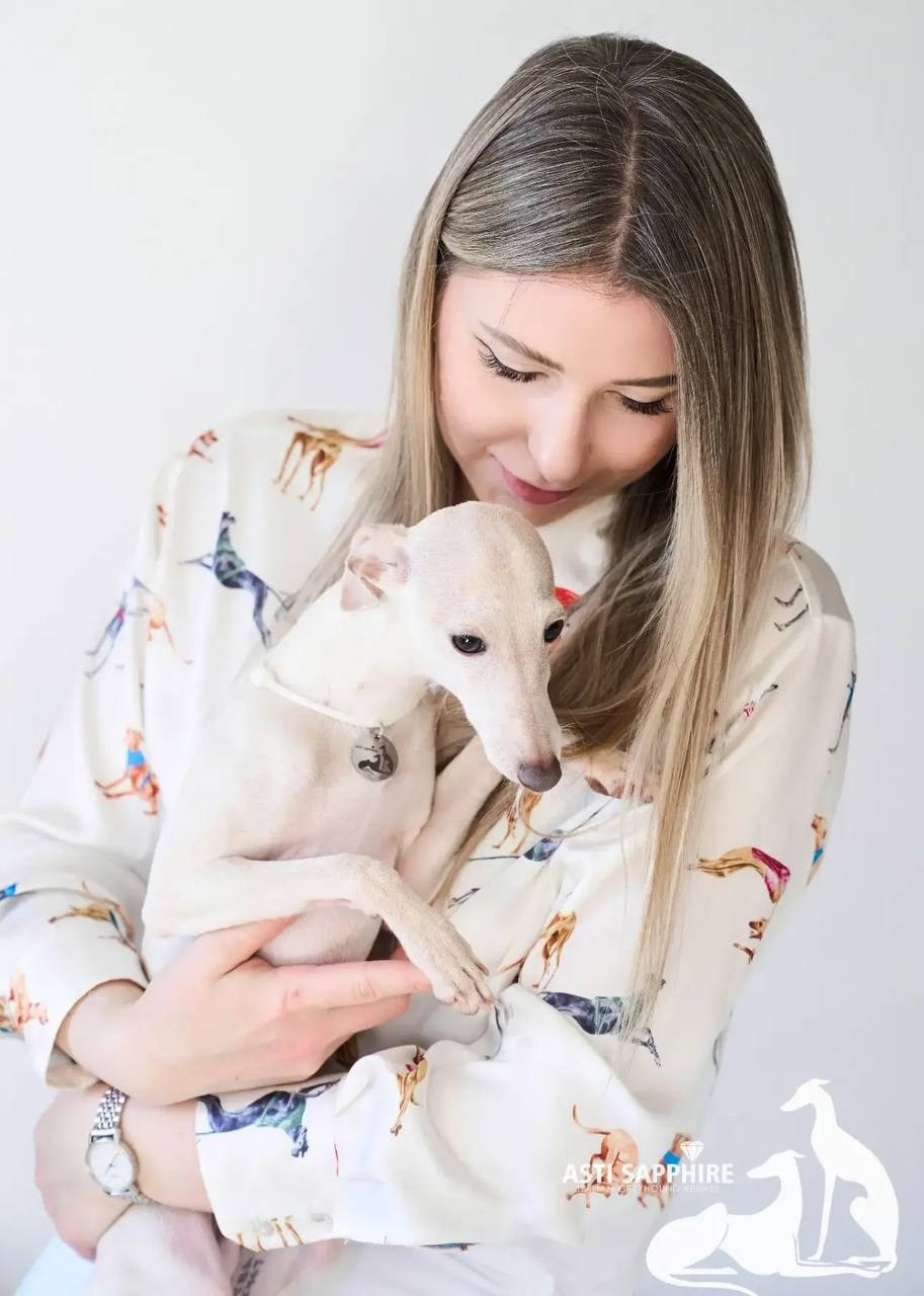 Asti Sapphire Zeus. Профессиональный питомник левреток РКФ/FCI ASTI SAPPHIRE 💎 Сочи|Санкт-Петербург