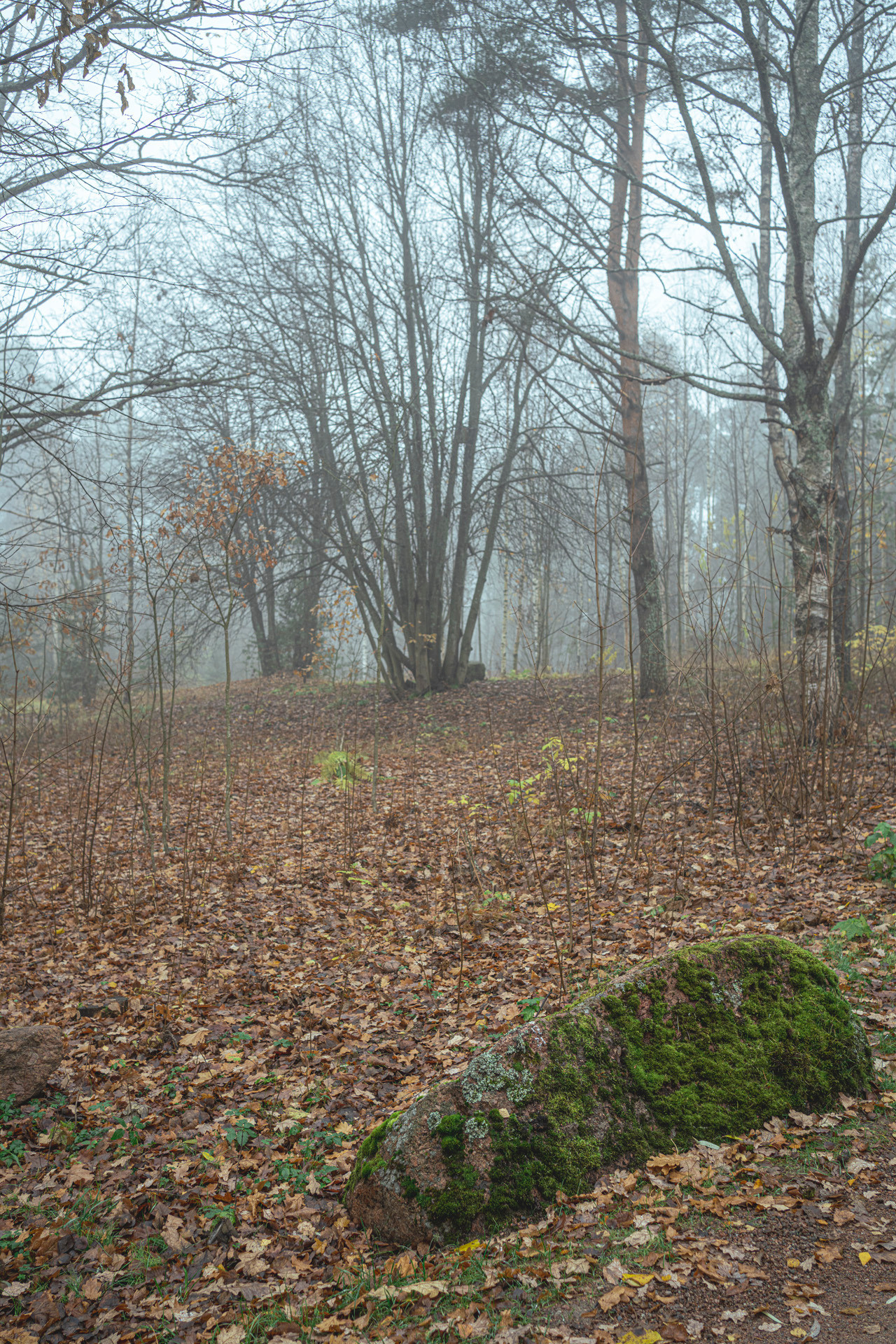 Выборг (октябрь 2020). Фотограф Сергей Танков