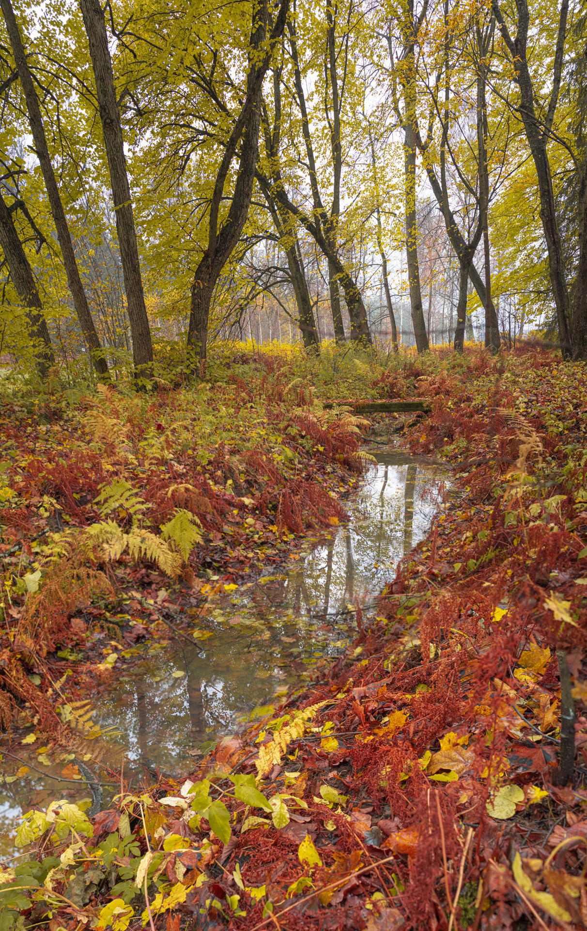 Выборг (октябрь 2020). Фотограф Сергей Танков