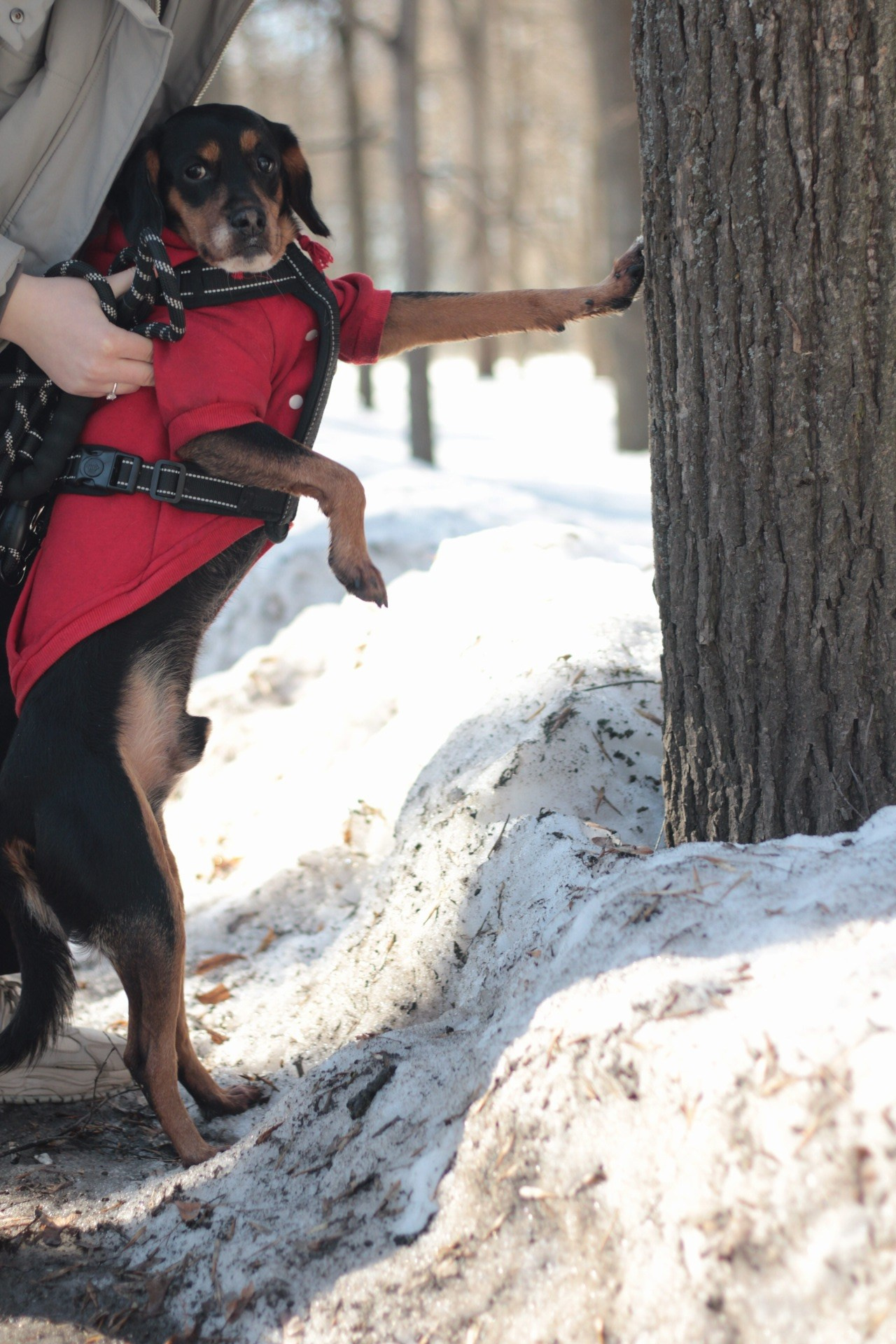 Маша и Кекс. Катя Попова|ЛайфСтайл фотограф