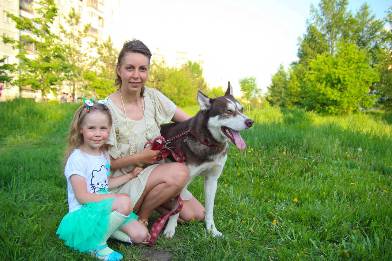  хаски мама дочь на зеленой траве природа
