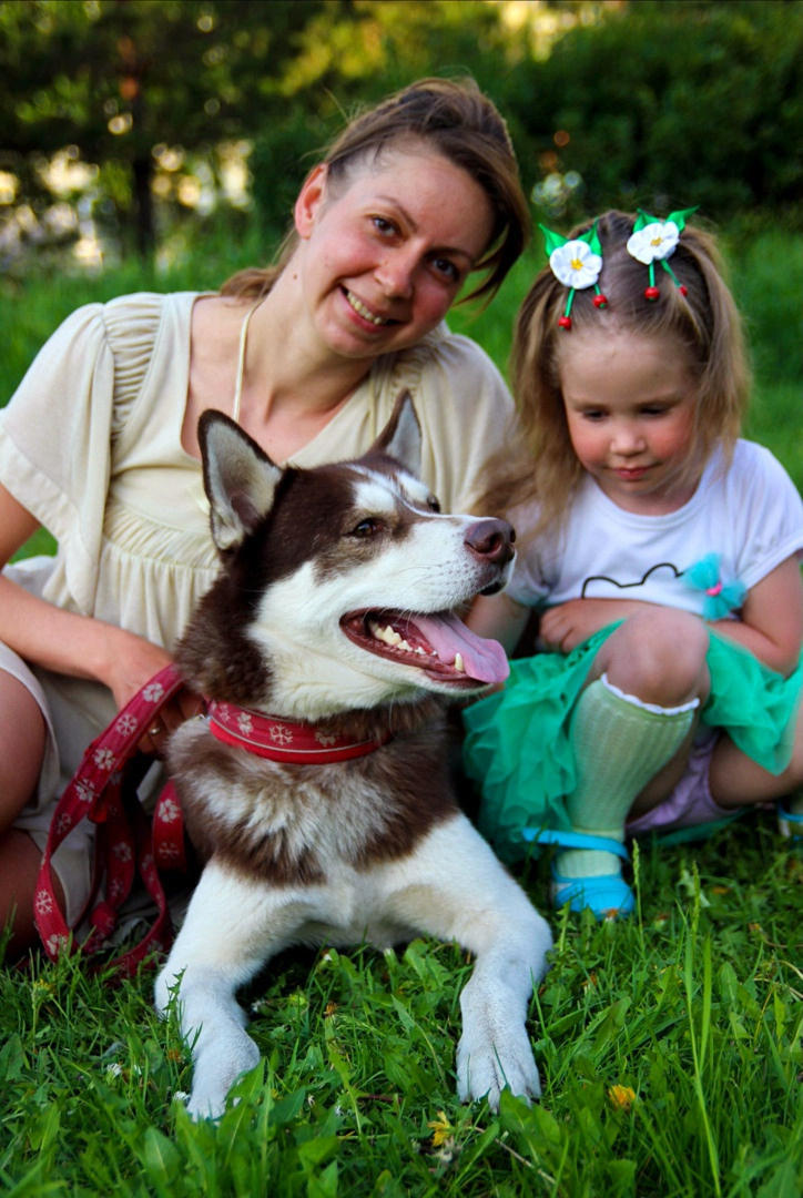 хаски мама и дочка семья на зеленой траве