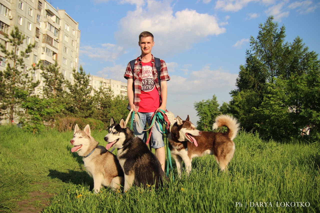 парень хаски на природе зеленая трава 