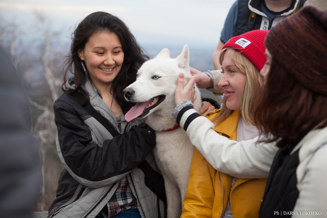 белая хаски и девушки природа