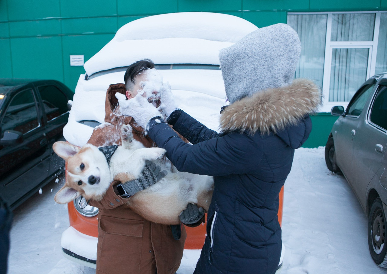 Вайнеры. Фотограф Дарья Локотко в Красноярске