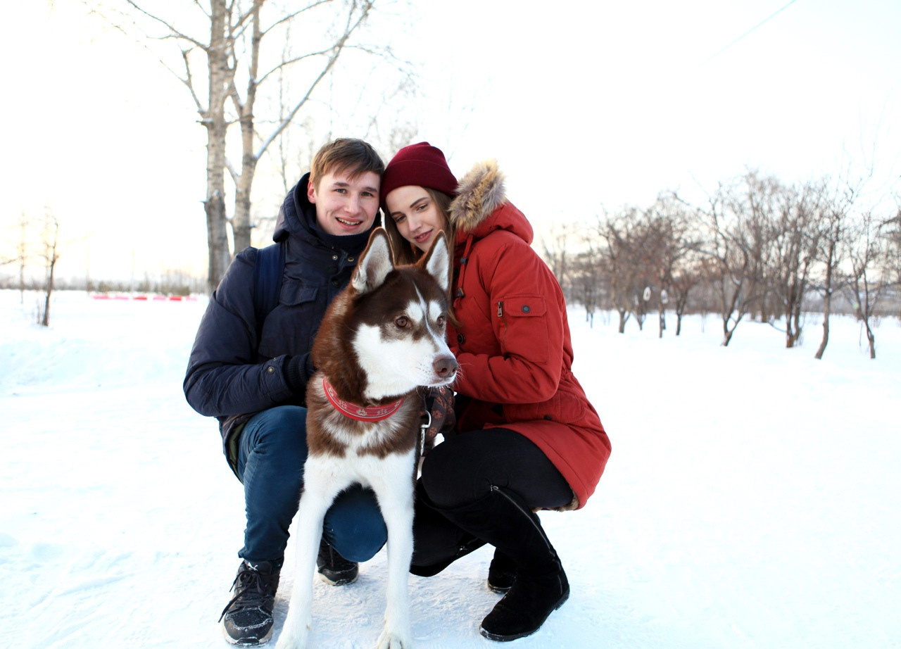 хаски зима белый снег девушка и парень