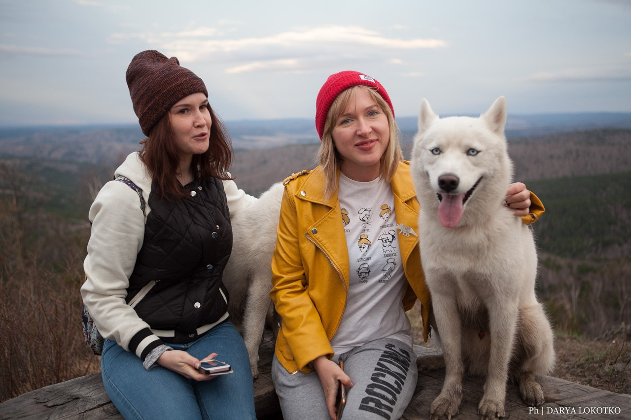 белая хаски и красивая девушка природа